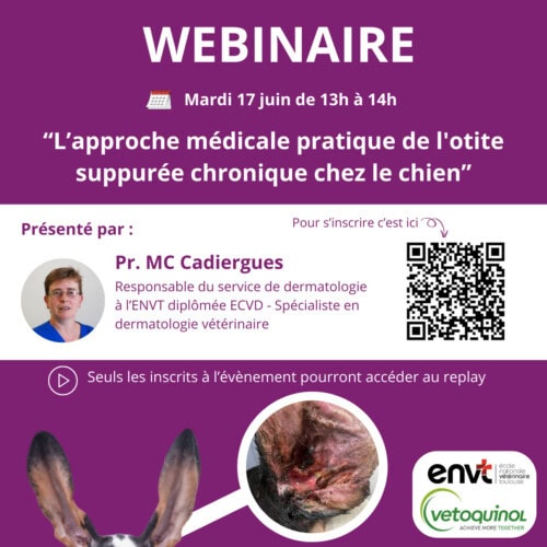 Webinaire - Pr. Cadiergues