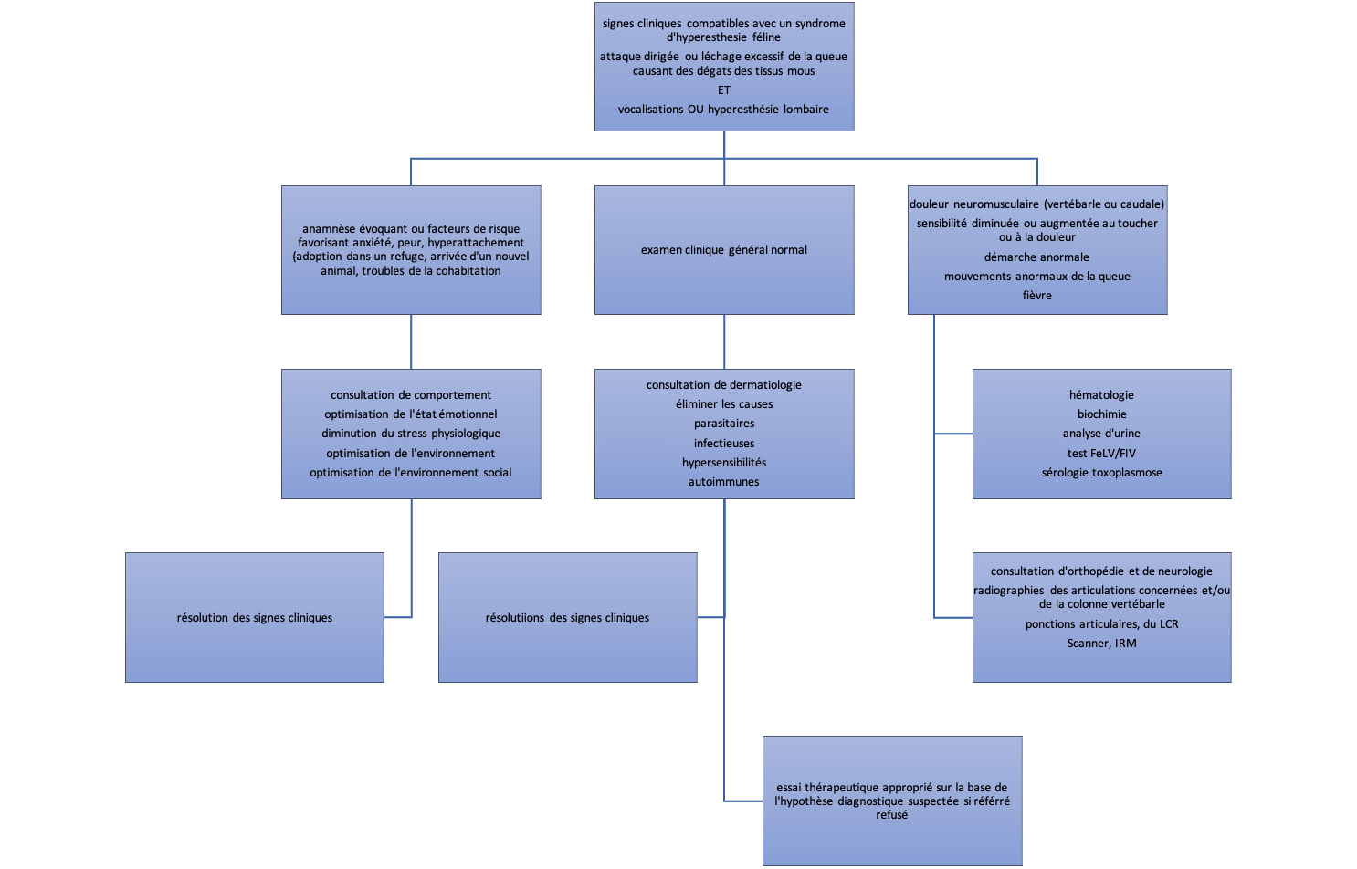 Un cas de syndrome d’hyperesthésie féline avec automutilation de la queue Démarche diagnostique du syndrome d'hyperesthésie féline d'après Amengual Batle
