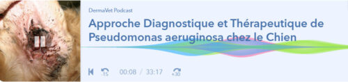 Nouveau Podcast DermaVet !