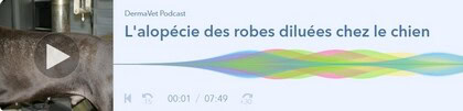 Nouveau Podcast DermaVet !