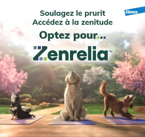 Lancement de Zenrelia ™ (comprimés d'ilunocitinib ) en Europe