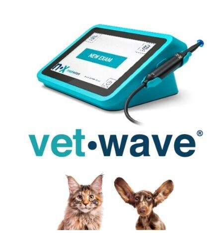 Formation continue en Dermatologie Vétérinaire depuis 25 ans !