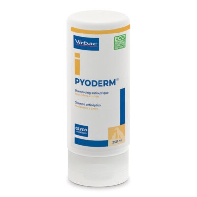 PYODERM pyoderm