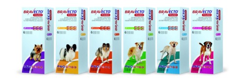 Bravecto triuno Bravecto Triuno