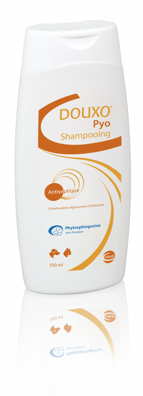 DOUXO PYO SHAMPOOING DermaVet