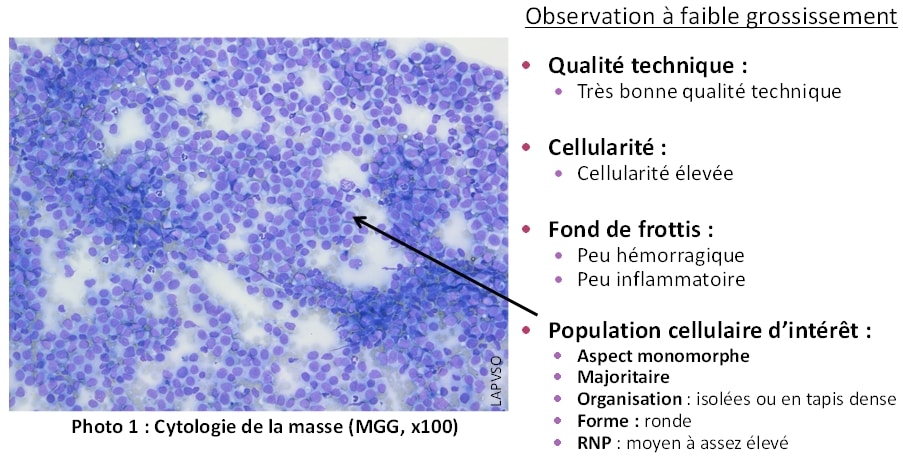 Cas de cytologie clinique : Un cas d'histiocytome canin