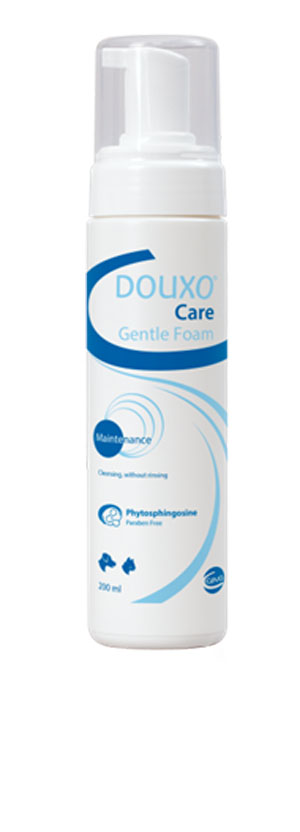 DOUXO ENTRETIEN MOUSSE
