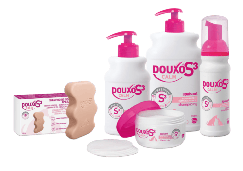 Cas clinique Ceva autour de l’utilisation des soins topiques Les produits Douxo S3 Calm pour le soin et la hygiène de la peau sensible de votre animal, comprenant shampooing, spray et mousse.