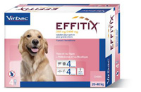 EFFITIX