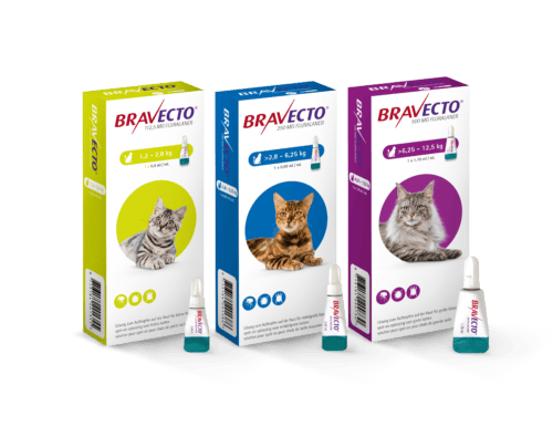 BRAVECTO Chat Bravecto spot-on chat