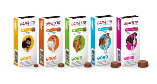 Bravecto comprimé