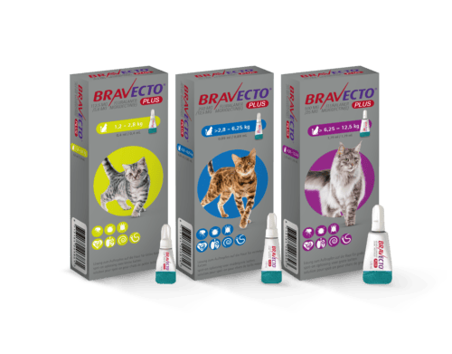 Bravecto Plus Traitement antiparasitaire pour chats Bravecto Plus, protections contre puces et tiques, trois tailles pour différents poids, facilité d'application.