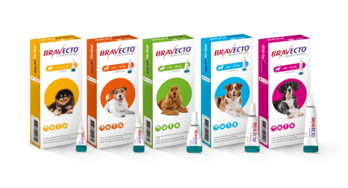 Bravecto Spot-on chien Bravecto spot-on chien
