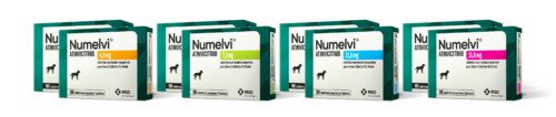 numelvi