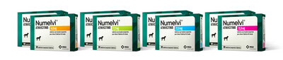 Numelvi (Atinvicitinib) chez le Chien : Monographie 2026 Numelvi