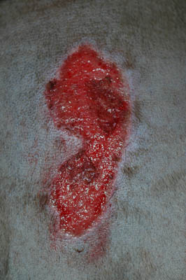 photo7