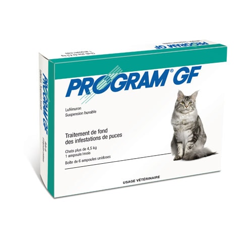 PROGRAM SUSPENSION BUVABLE CHAT