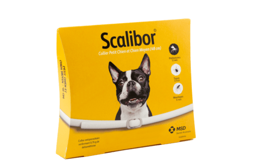 Scalibor petit et moyen chien Scalibor