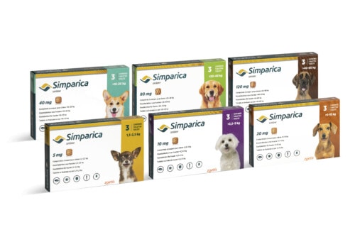 Simparica