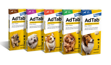 Adtab chien