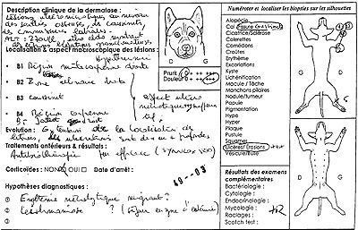 Un cas d'érythème nécrolytique migrant anciennement syndrome hépato-cutané