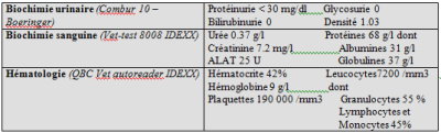 cas-de-granulome-mycosique-felintableau1
