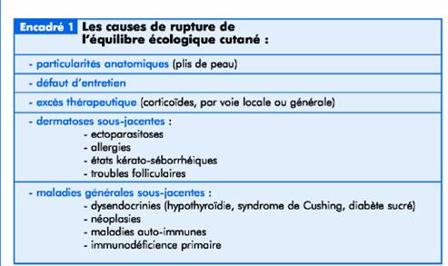 Les échecs thérapeutiques lors des pyodermites clip_image002_0001