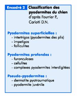 Les échecs thérapeutiques lors des pyodermites clip_image004_0001