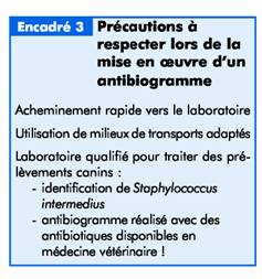 Les échecs thérapeutiques lors des pyodermites clip_image010_0000