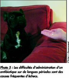 Les échecs thérapeutiques lors des pyodermites clip_image016_0000