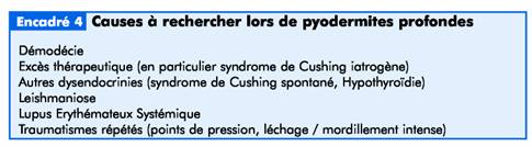 Les échecs thérapeutiques lors des pyodermites clip_image018_0000