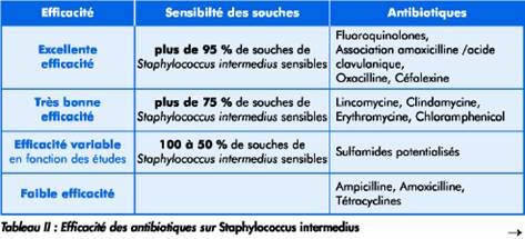 Les échecs thérapeutiques lors des pyodermites clip_image020_0000