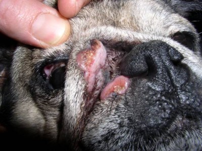 Quel est votre diagnostic ? - Article 9 diagnostic-article-102