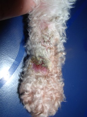 Quel est votre diagnostic - Article 6 diagnostic-article-31