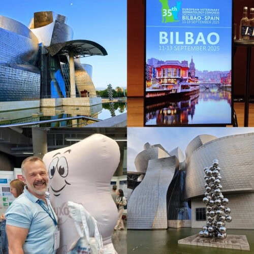 Thank you for this 35th ESVD-ECVD-ISVD Congress: An exceptional vintage in Bilbao!