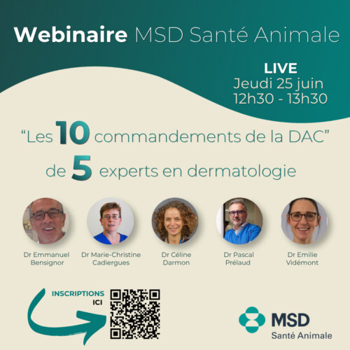 Formation continue en Dermatologie Vétérinaire depuis 25 ans ! Formation continue en Dermatologie Vétérinaire depuis 25 ans !