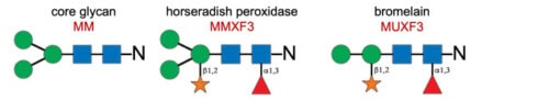 Evaluating the Pathogenic Potential of IgE Targeting Cross-Reactive-Carbohydrate Determinants in Dogs