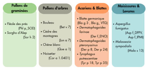 PAX 2.0 : De nouveaux allergènes disponibles