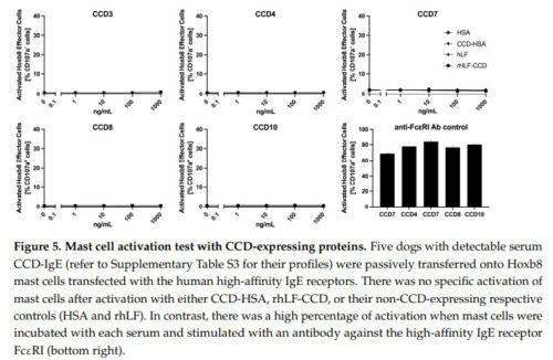 Evaluating the Pathogenic Potential of IgE Targeting Cross-Reactive-Carbohydrate Determinants in Dogs