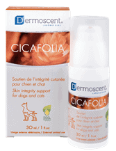 CICAFOLIA