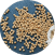 BIOBALM