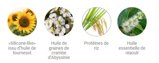 PHYSIO EASY BRUSH