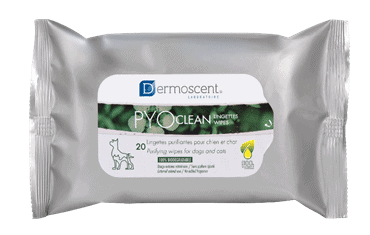 PYOCLEAN Lingettes