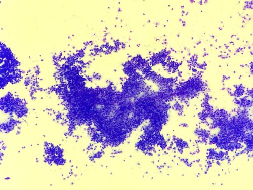 Cytologie clinique