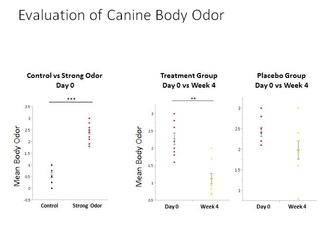 Dermoscent®, pionnier de la dermo-cosmétique vétérinaire depuis 2003 Dermoscent®, pionnier de la dermo-cosmétique vétérinaire depuis 2003