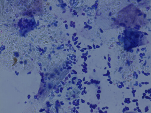 Formation continue en Dermatologie Vétérinaire depuis 25 ans !