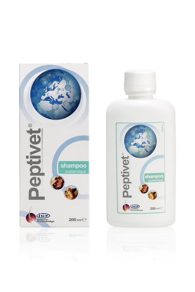 PEPTIVET SHAMPOOING